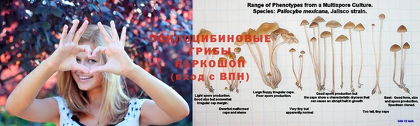 мефедрон мука Белокуриха