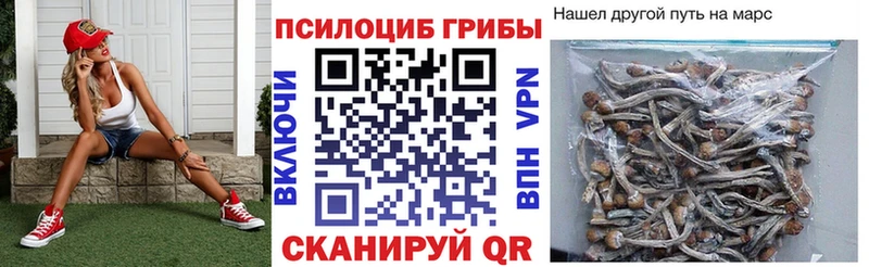 Псилоцибиновые грибы Psilocybine cubensis  Набережные Челны 